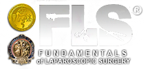 Fundamentals of Laparoscopic Surgery